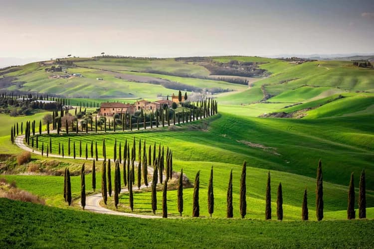 The surroundings
